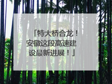 特大桥合龙！安徽这段高速建设最新进展！