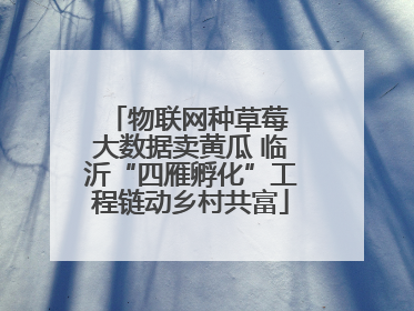 物联网种草莓 大数据卖黄瓜 临沂“四雁孵化”工程链动乡村共富