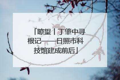 瞭望丨丁肇中寻根记——日照市科技馆建成前后