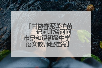 甘做春泥谨护苗——记河北省河间市景和镇初级中学语文教师程桂霞