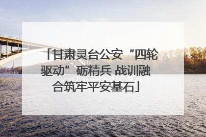 甘肃灵台公安“四轮驱动”砺精兵 战训融合筑牢平安基石
