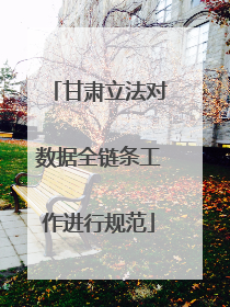 甘肃立法对数据全链条工作进行规范