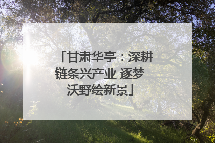 甘肃华亭：深耕链条兴产业 逐梦沃野绘新景