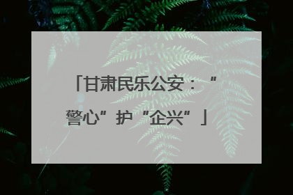 甘肃民乐公安：“警心”护“企兴”