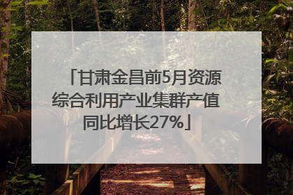甘肃金昌前5月资源综合利用产业集群产值同比增长27%