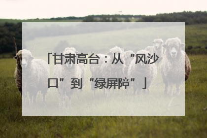 甘肃高台：从“风沙口”到“绿屏障”