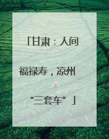 甘肃：人间福禄寿，凉州“三套车”