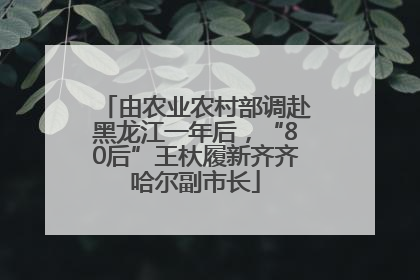 由农业农村部调赴黑龙江一年后,“80后”王杕履新齐齐哈尔副市长