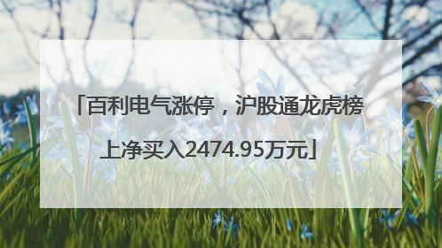 百利电气涨停，沪股通龙虎榜上净买入2474.95万元