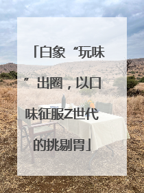 白象“玩味”出圈，以口味征服Z世代的挑剔胃