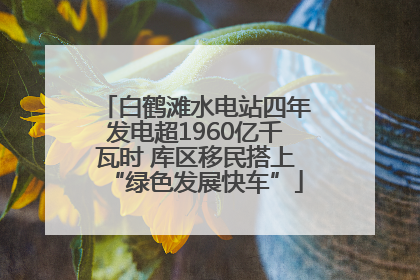 白鹤滩水电站四年发电超1960亿千瓦时 库区移民搭上“绿色发展快车”