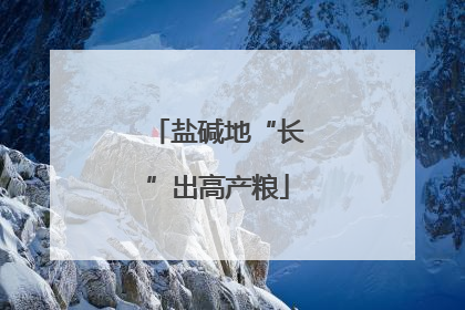 盐碱地“长”出高产粮