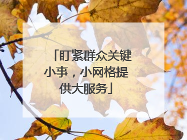 盯紧群众关键小事，小网格提供大服务