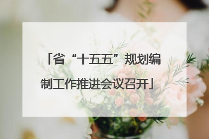 省“十五五”规划编制工作推进会议召开