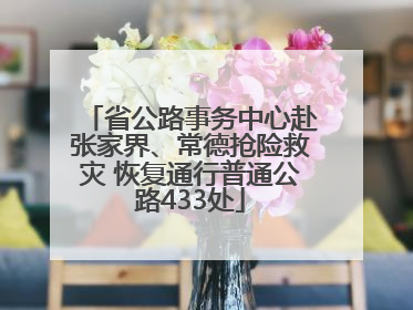 省公路事务中心赴张家界、常德抢险救灾 恢复通行普通公路433处