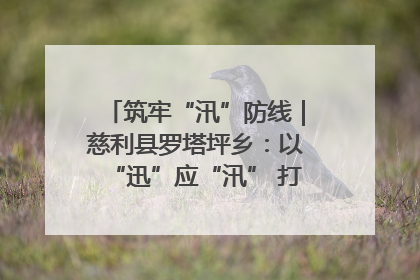 筑牢“汛”防线｜慈利县罗塔坪乡：以“迅”应“汛” 打赢暴雨防御战
