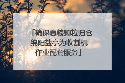 确保夏粮颗粒归仓 绵阳盐亭为收割机作业配套服务