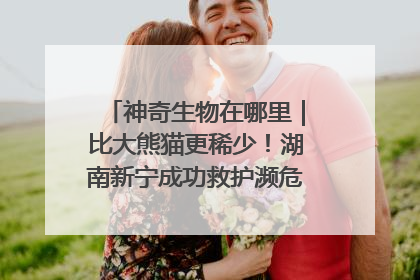 神奇生物在哪里｜比大熊猫更稀少！湖南新宁成功救护濒危鸟类海南鳽