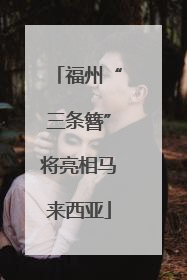 福州“三条簪”将亮相马来西亚