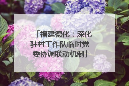 福建德化：深化驻村工作队临时党委协调联动机制