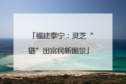 福建泰宁：灵芝“链”出富民新图景