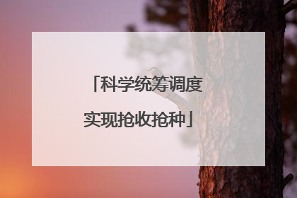 科学统筹调度实现抢收抢种