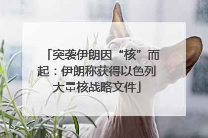 突袭伊朗因“核”而起：伊朗称获得以色列大量核战略文件