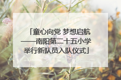 童心向党 梦想启航——南阳第二十五小学举行新队员入队仪式