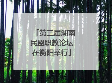 第三届湖南民盟职教论坛在衡阳举行