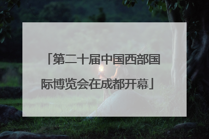 第二十届中国西部国际博览会在成都开幕