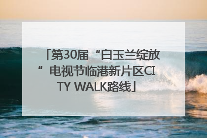 第30届“白玉兰绽放”电视节临港新片区CITY WALK路线