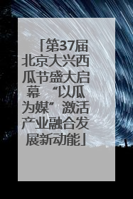 第37届北京大兴西瓜节盛大启幕 “以瓜为媒”激活产业融合发展新动能