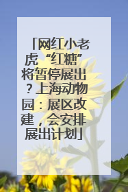 网红小老虎“红糖”将暂停展出？上海动物园：展区改建，会安排展出计划