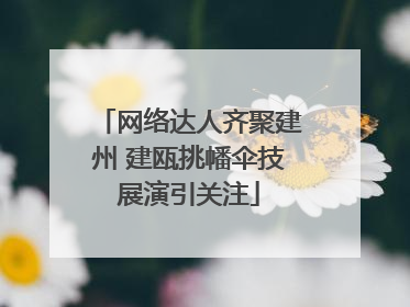 网络达人齐聚建州 建瓯挑幡伞技展演引关注