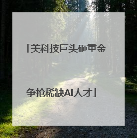 美科技巨头砸重金争抢稀缺AI人才