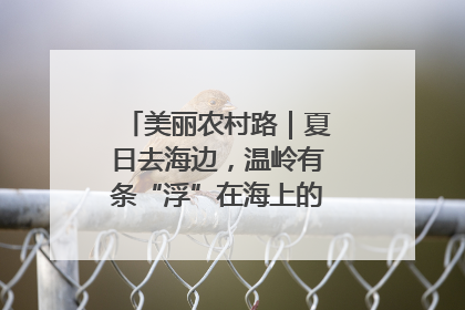 美丽农村路｜夏日去海边，温岭有条“浮”在海上的公路你去过吗？