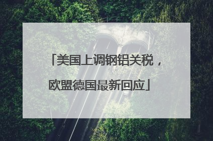 美国上调钢铝关税，欧盟德国最新回应