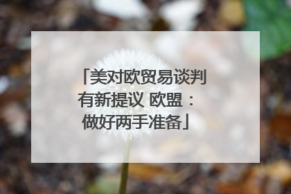 美对欧贸易谈判有新提议 欧盟：做好两手准备