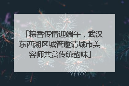粽香传情迎端午，武汉东西湖区城管邀请城市美容师共赏传统韵味