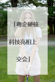 粤企硬核科技亮相上交会