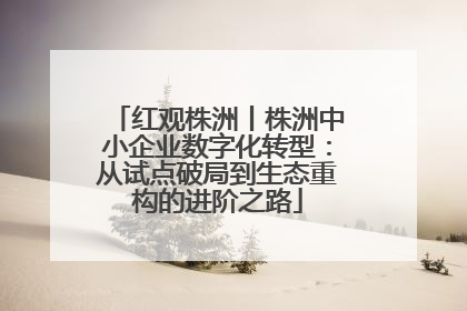 红观株洲丨株洲中小企业数字化转型：从试点破局到生态重构的进阶之路