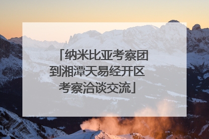 纳米比亚考察团到湘潭天易经开区考察洽谈交流