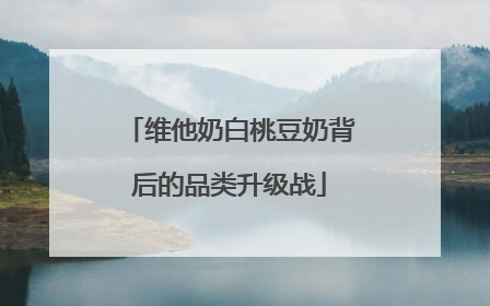 维他奶白桃豆奶背后的品类升级战