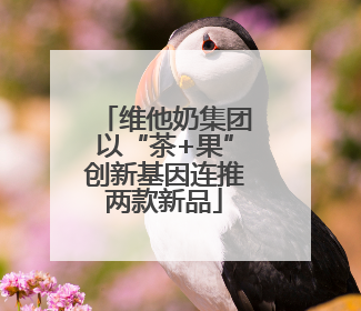 维他奶集团以“茶+果”创新基因连推两款新品