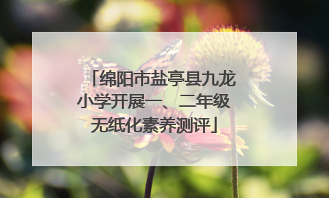绵阳市盐亭县九龙小学开展一、二年级无纸化素养测评