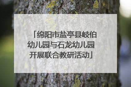 绵阳市盐亭县岐伯幼儿园与石龙幼儿园开展联合教研活动
