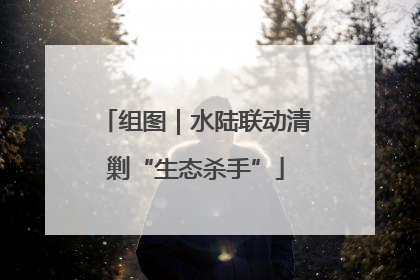 组图｜水陆联动清剿“生态杀手”
