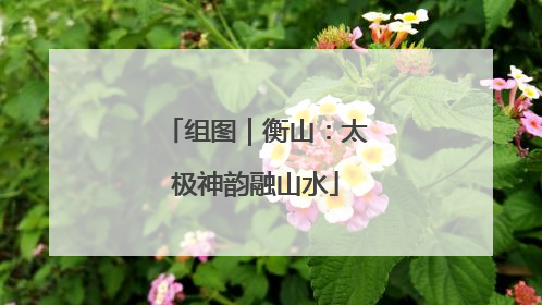 组图｜衡山：太极神韵融山水