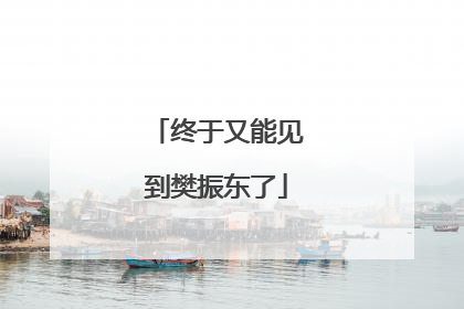 终于又能见到樊振东了