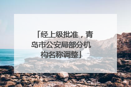 经上级批准，青岛市公安局部分机构名称调整